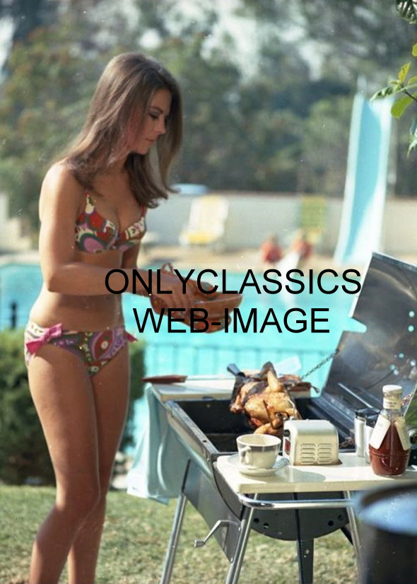 Sexy Natalie Wood Swimsuit Bikini Bbq Photo Cooking Barbecue Pinup Cheesecake Ebay